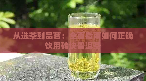 从选茶到品茗：全面指南如何正确饮用砖块普洱茶