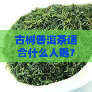 古树普洱茶适合什么人喝？古树普洱茶的好处，口感和特点是什么？