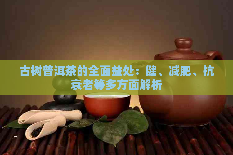 古树普洱茶的全面益处：健、减肥、抗衰老等多方面解析