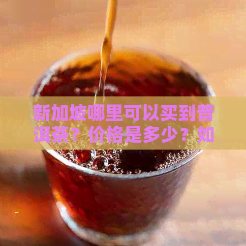 新加坡哪里可以买到普洱茶？价格是多少？如何鉴别真假普洱茶？