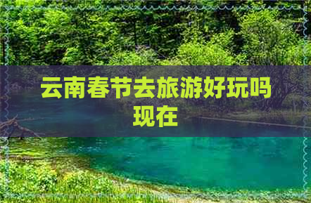 云南春节去旅游好玩吗现在