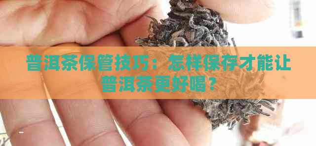 普洱茶保管技巧：怎样保存才能让普洱茶更好喝？