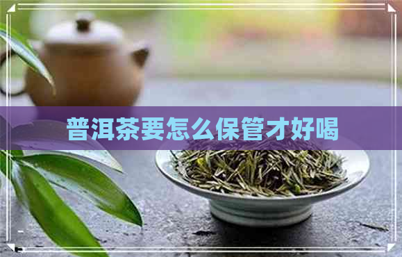 普洱茶要怎么保管才好喝