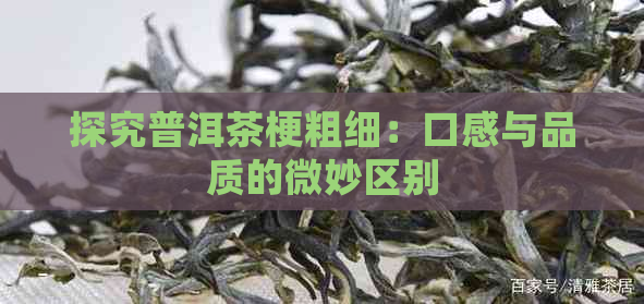 探究普洱茶梗粗细：口感与品质的微妙区别