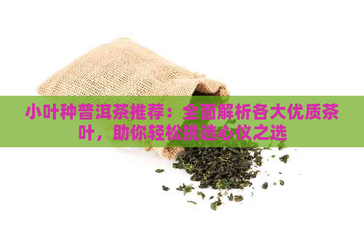 小叶种普洱茶推荐：全面解析各大优质茶叶，助你轻松挑选心仪之选