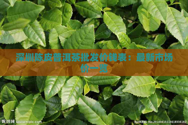 深圳陈皮普洱茶批发价钱表：最新市场价一览