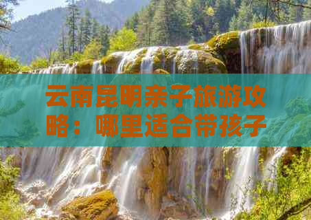 云南昆明亲子旅游攻略：哪里适合带孩子又便宜又好？