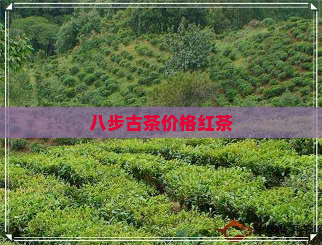 八步古茶价格红茶