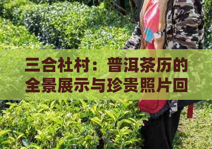 三合社村：普洱茶历的全景展示与珍贵照片回顾