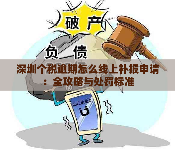 深圳个税逾期怎么线上补报申请：全攻略与处罚标准