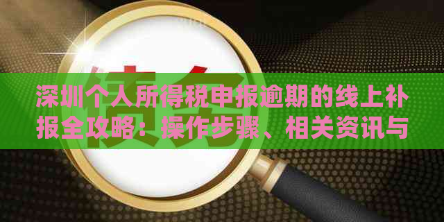 深圳个人所得税申报逾期的线上补报全攻略：操作步骤、相关资讯与处罚解读