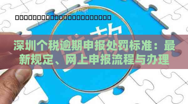 深圳个税逾期申报处罚标准：最新规定、网上申报流程与办理地点