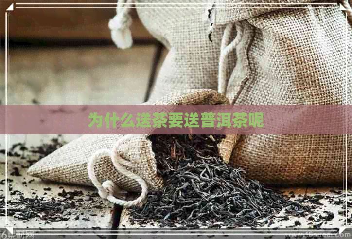 为什么送茶要送普洱茶呢