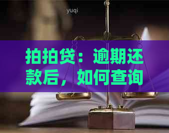 ：逾期还款后，如何查询之前的借款记录和资讯？