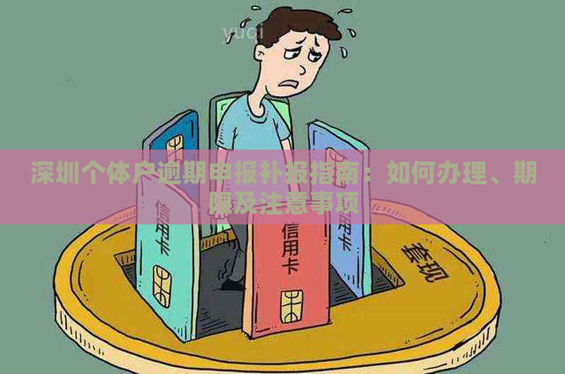 深圳个体户逾期申报补报指南：如何办理、期限及注意事项