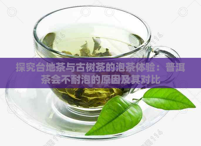 探究台地茶与古树茶的泡茶体验：普洱茶会不耐泡的原因及其对比