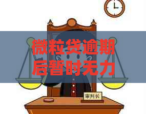 微粒贷逾期后暂时无力偿还的解决策略与影响分析