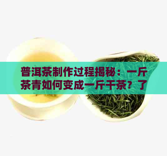 普洱茶制作过程揭秘：一斤茶青如何变成一斤干茶？了解详细步骤和技巧