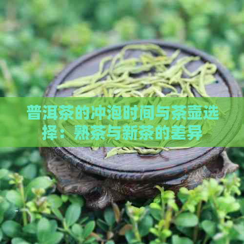 普洱茶的冲泡时间与茶壶选择：熟茶与新茶的差异