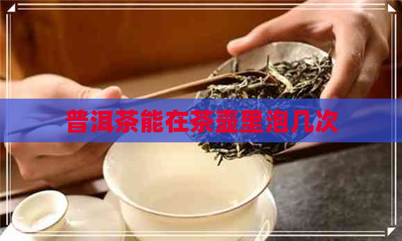 普洱茶能在茶壶里泡几次