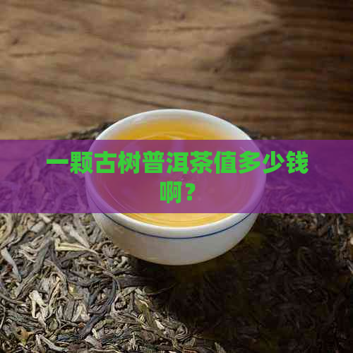 一颗古树普洱茶值多少钱啊？