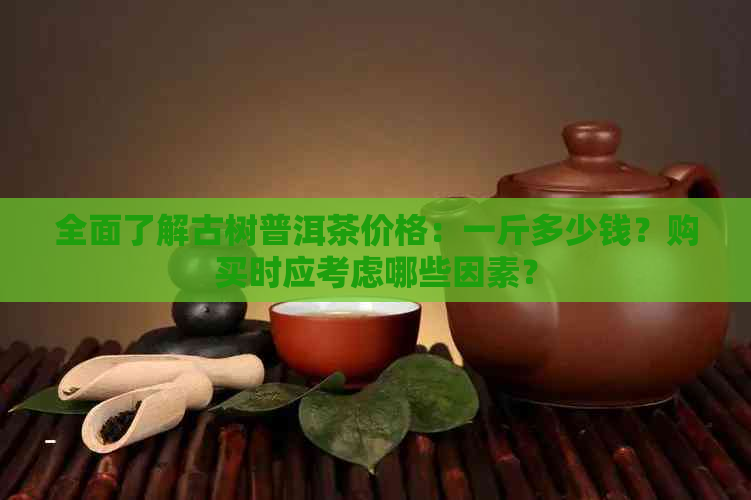 全面了解古树普洱茶价格：一斤多少钱？购买时应考虑哪些因素？