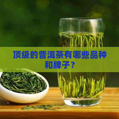 顶级的普洱茶有哪些品种和牌子？