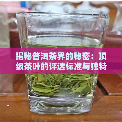 揭秘普洱茶界的秘密：顶级茶叶的评选标准与独特魅力