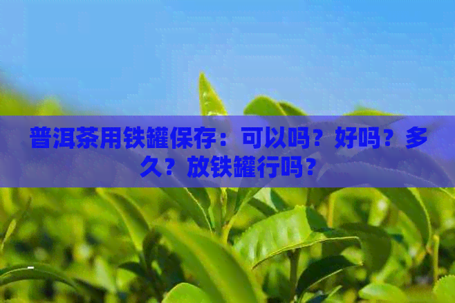 普洱茶用铁罐保存：可以吗？好吗？多久？放铁罐行吗？