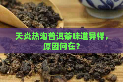 天炎热泡普洱茶味道异样，原因何在？