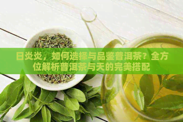 日炎炎，如何选择与品鉴普洱茶？全方位解析普洱茶与天的完美搭配