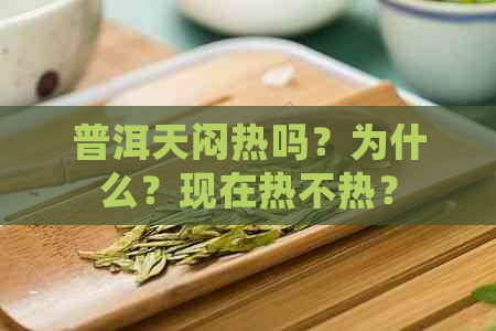 普洱天闷热吗？为什么？现在热不热？