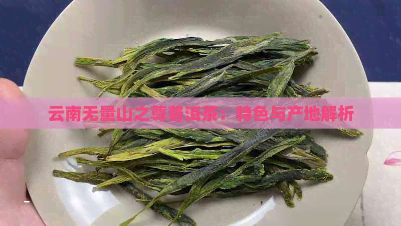 云南无量山之尊普洱茶：特色与产地解析