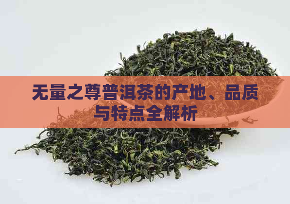 无量之尊普洱茶的产地、品质与特点全解析