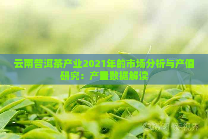 云南普洱茶产业2021年的市场分析与产值研究：产量数据解读