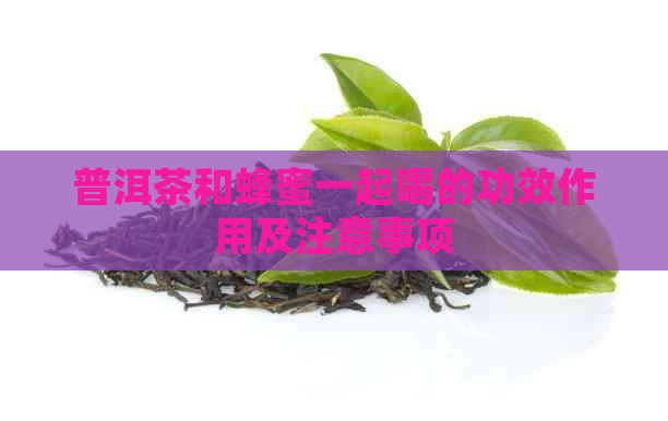 普洱茶和蜂蜜一起喝的功效作用及注意事项