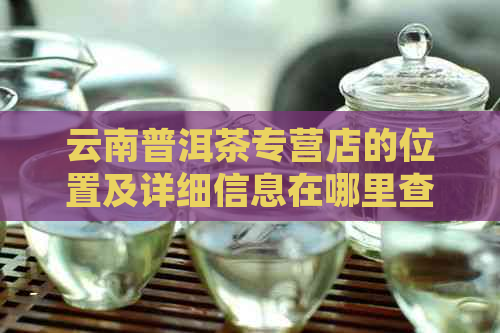 云南普洱茶专营店的位置及详细信息在哪里查找？