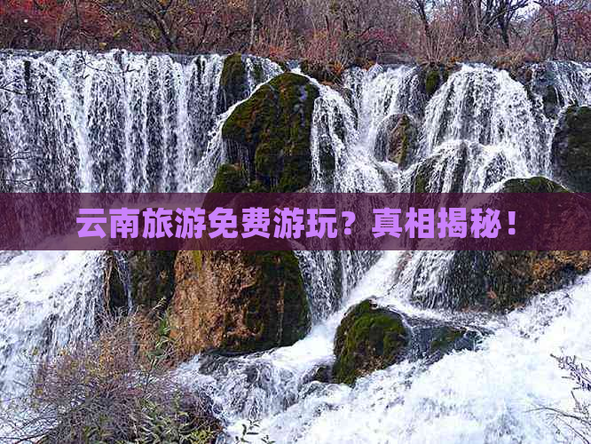 云南旅游免费游玩？真相揭秘！