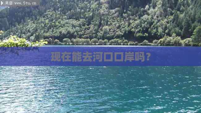 现在能去河口口岸吗？