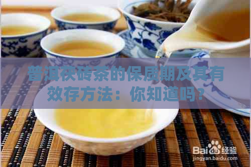 普洱茯砖茶的保质期及其有效存方法：你知道吗？