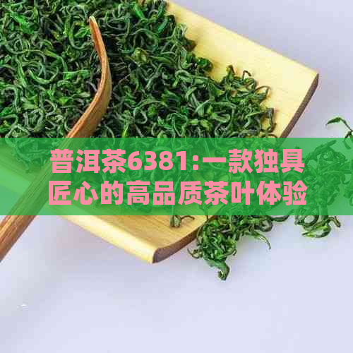 普洱茶6381:一款独具匠心的高品质茶叶体验