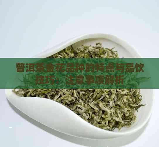 普洱茶金花品种的特点与品饮技巧：注意事项解析