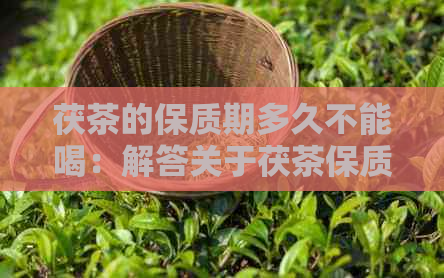 茯茶的保质期多久不能喝：解答关于茯茶保质期的问题