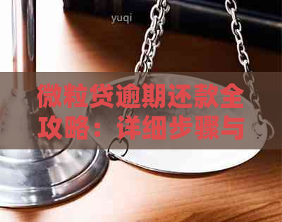 微粒贷逾期还款全攻略：详细步骤与注意事项一览