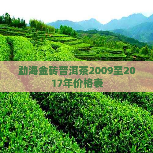 勐海金砖普洱茶2009至2017年价格表