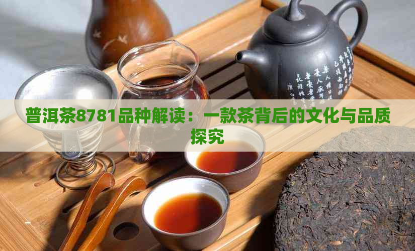 普洱茶8781品种解读：一款茶背后的文化与品质探究