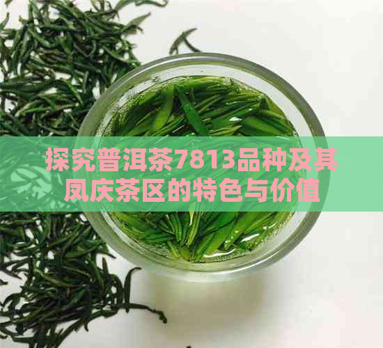 探究普洱茶7813品种及其凤庆茶区的特色与价值