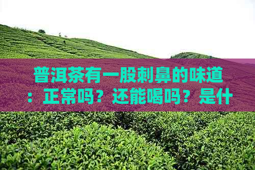 普洱茶有一股刺鼻的味道：正常吗？还能喝吗？是什么原因？