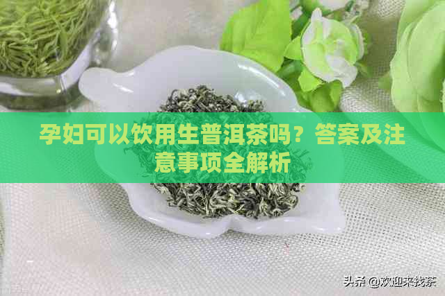 孕妇可以饮用生普洱茶吗？答案及注意事项全解析