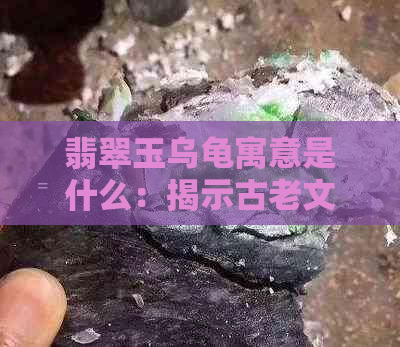 翡翠玉乌龟寓意是什么：揭示古老文化中深沉的智慧与象征